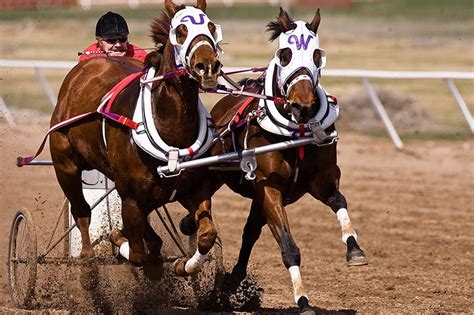 Chariot Racing