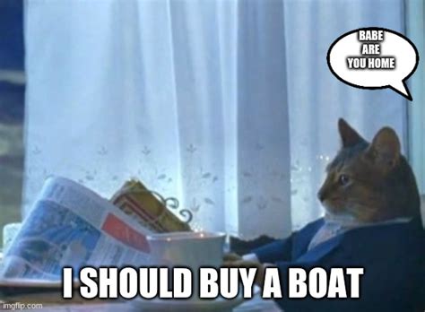 I Should Buy A Boat Cat Meme Imgflip