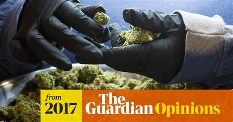 Regulating Cannabis Is Inevitable We Should Talk About Getting It