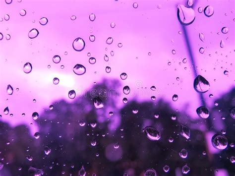 Tổng Hợp 999 Purple Rain Background Chất Lượng Full Hd Tải Miễn Phí
