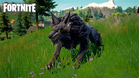 🎮 Fortnite Where To Hunt Wolves In Chapter 3