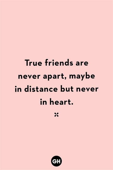 True Friendship Quotes Only Best Friends Will Understand True
