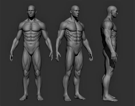 Artstation Realistic Male Full Body Resources