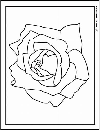 Coloring Rose Pages Simple Printable Template Any