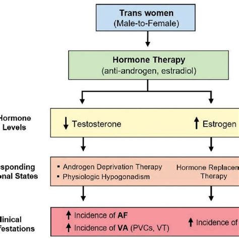 Pdf Cardiac Arrhythmias Secondary To Hormone Therapy In Trans Women