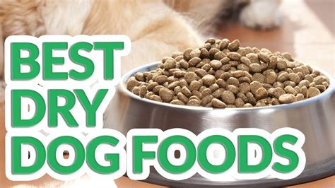 What Are The Top 10 Best Dry Dog Foods