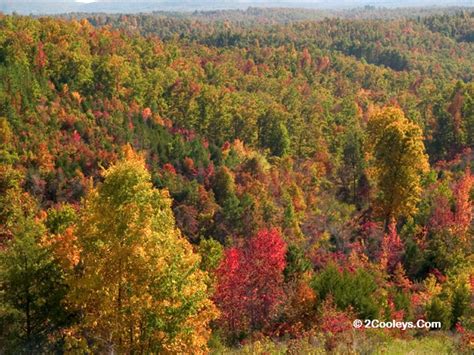 22 Arkansas Ozarks Fall Foliage Reports Tours Photos