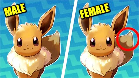 All Pokémon Gender Differences Generation 1 To 7 Lets Go Youtube