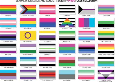 Banderas De Orientacion Sexual E Identidad De Genero Vector En Vecteezy