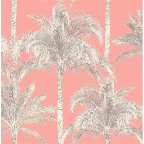 Fine Decor Miami Palm Tree Coral Hd Phone Wallpaper Pxfuel