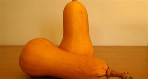 How To Grow Butternut Squash In A Container