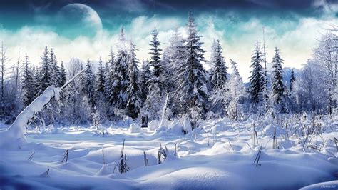 Winter Woods Wallpapers Top Free Winter Woods Backgrounds