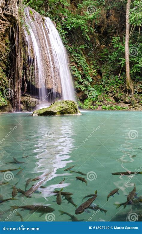 Erawan Waterfalls With Clear Green Pond And Fish Royalty Free Stock