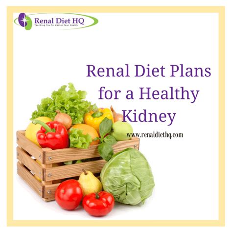 A Free Diabetic Renal Diet Meal Plan Renal Diet And