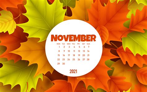 Скачать обои 2021 November Calendar 4k Background With Autumn Leaves