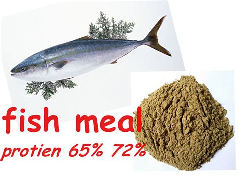 Because it is calorically dense and cheap to produce. China Fish Meal Powder for Animal Feed (protein 65 72 ...
