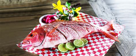 Red Fish Aruba Restaurant Quality Seafood Restaurant