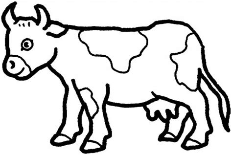 Long Horn Cow Coloring Page Kids Play Color