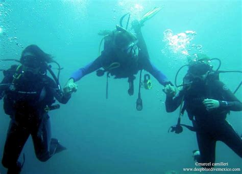Deep Blue Dive Puerto Escondido All You Need To Know