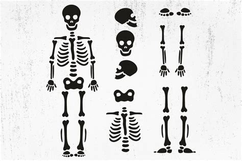 Graveyard Skeleton Human Skeleton Svg Skeleton Bones Svg