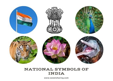 16 Important National Symbols Of India With Images Updated With