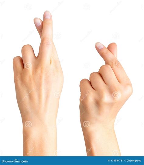Set Of Woman Hand Holding Something With Two Fingers Stock Image