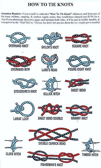 Usefulknots