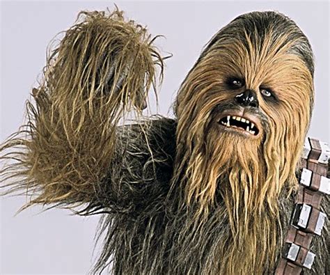 12 Times Chewbacca Stole The Spotlight And Our Hearts Chewbacca