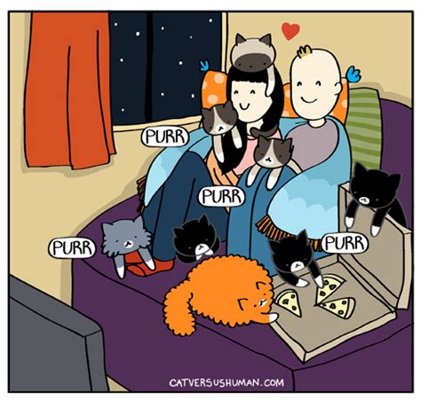 Cat Vs Human Webtoon
