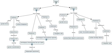 Using language techniques to answer a literature question ». Meiosis Concept Map Mastering Biology