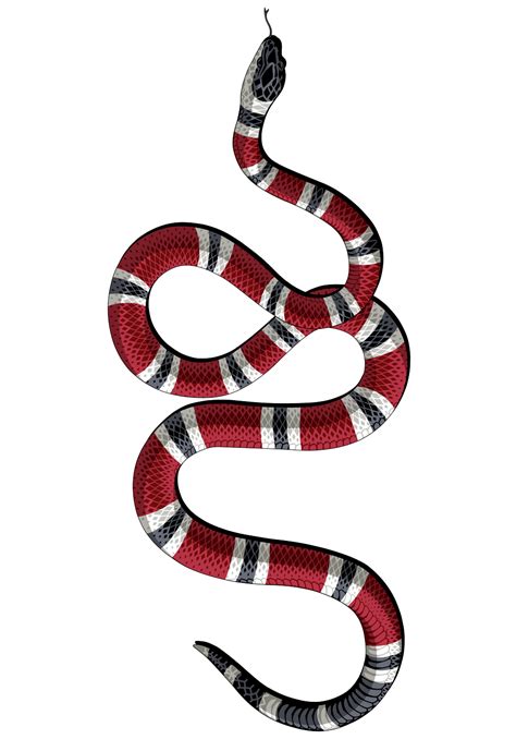 Snake Cartoon 1000*1431 transprent Png Free Download - Scaled Reptile, Reptile, Snake. … | Gucci ...