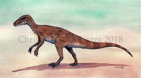 Prehistoric Beast Of The Week Herrerasaurus Beast Of The Week