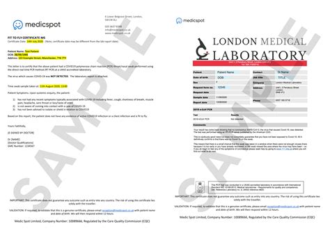 Searching for a fit to fly certificate. Fit to fly certificate | Get your letter in under 14 hours