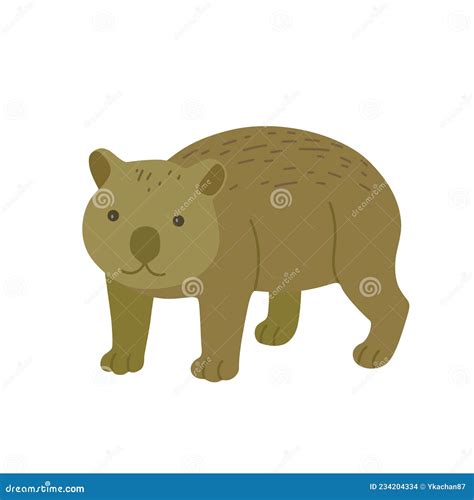 Wombat Isolated On White Background Hand Drawn Portrait Of Cute Wild