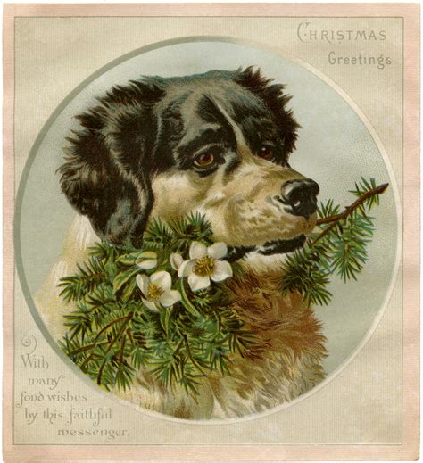 Simply to impress offers photo holiday cards for every occasion: Vintage Christmas Dog Image! - The Graphics Fairy
