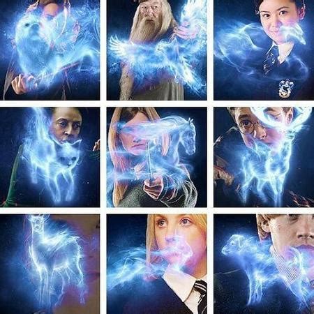 Other resources on the patronus quiz. Draco malfoy patron - what is draco malfoy's patronus ...