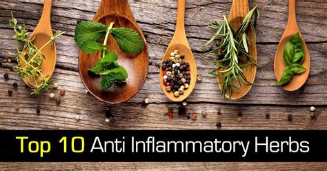 Top 10 Anti Inflammatory Herbs