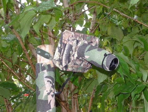 This Photographer Built A Wildlife Trail Camera From