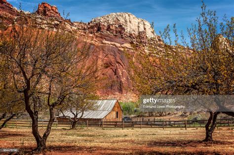 Fruita Capitol Reef National Park Utah High Res Stock Photo Getty Images