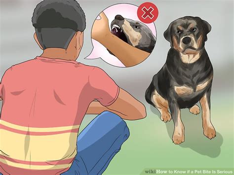 How To Know If A Pet Bite Is Serious 14 Steps With Pictures