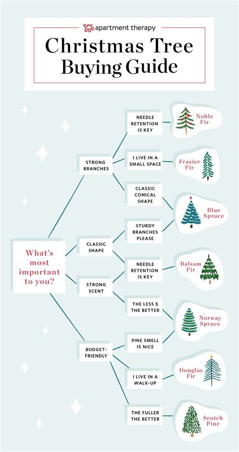 Everything You Need To Know Before Buying A Christmas Tree Christmas