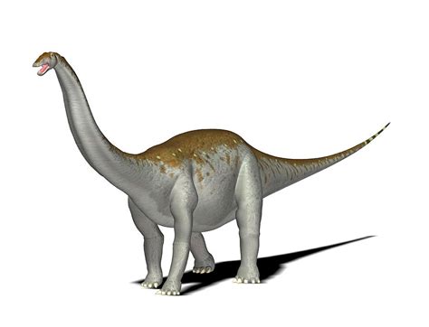 Apatosaurus Apatosaurus Jurassic World Apatosaurus—the Dinosaur