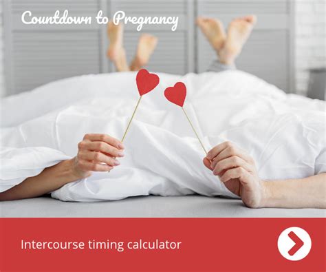 Intercourse Timing Calculator When To Have Sex When Trying To