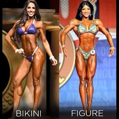 Difference Between Physique Divisions Which Is Right For You