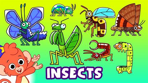 Insects And Bugs For Kids Beetle Moth Butterfly Praying Mantis