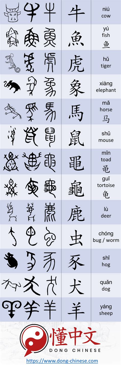 Evolution Of 13 Chinese Characters Depicting Animals Chineselanguage