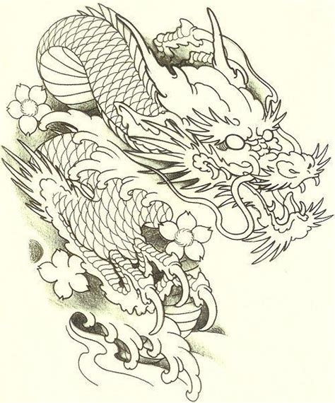 Japanese Dragon Tattoo Drawing Katlyn Franz