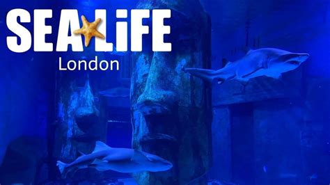 Sea Life London Aquarium Youtube