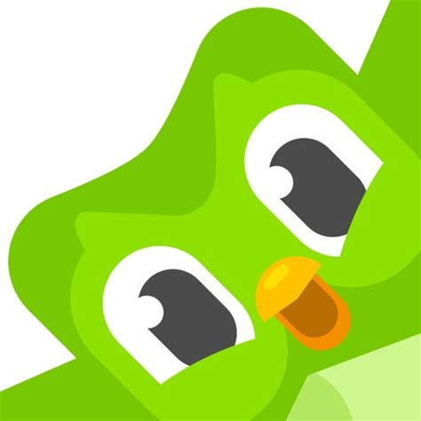 Duolingo App Logo