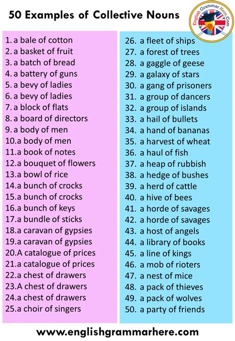 Examples Of Collective Nouns English Grammar Here